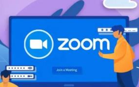zoom是什么软件