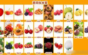 24种水果图片