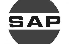 sap logon是什么软件