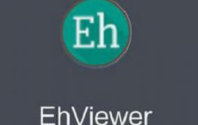 ehviewer为什么加载不出来