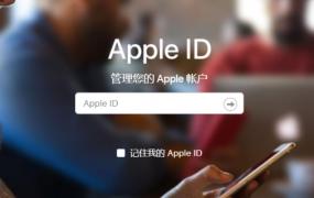 apple id密码是什么格式