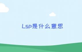 Lsp是什么意思