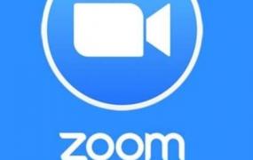 为什么Zoom的虚拟背景用不了