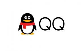 qq匿名信鸽是什么东西