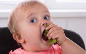 新生儿饮食注意事项,儿童饮食注意事项