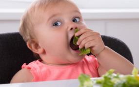 孩子爱吃的白菜做法(小白菜怎么做适合小孩吃)