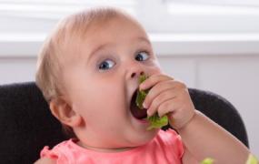 婴幼儿吃水果注意事项(幼儿吃水果的注意事项有哪些)