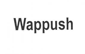 wap push是什么短信的什么功能