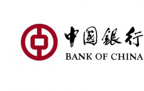 中国银行手机银行登录不了