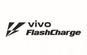 FlashCharge伤害电池吗