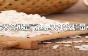 糯米的含糖量高还是大米的含糖量高(糯米和大米哪个含糖高)
