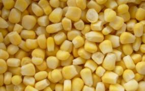 鲜玉米粒保存方法(鲜玉米贮藏方法与技术)