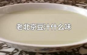 老北京豆汁什么味道(老北京的豆汁)