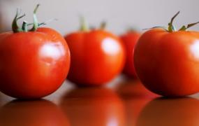 西红柿一天吃多少合适?(西红柿一天吃多少最为合适)