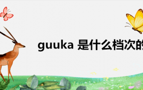 guuka是什么档次的牌子(guuka 是什么档次的)
