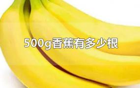 500g香蕉有多少根?(500g的香蕉是多少根)