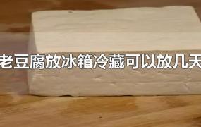 老豆腐放冰箱冷藏可以放几天(豆腐放冰箱保鲜能放几天)