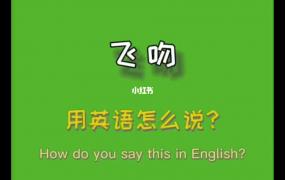 怎么样用英语怎么说