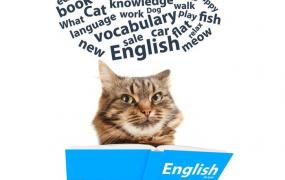 猫英语怎么说
