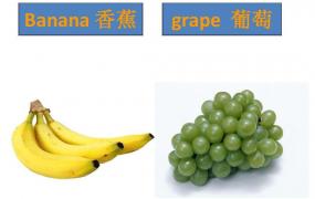 香蕉的英语单词怎么写