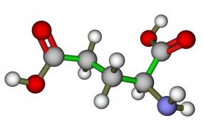 氨基酸结构