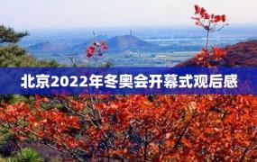 北京2022年冬奥会开幕式观后感