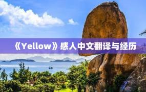 《Yellow》感人中文翻译与经历