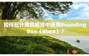 如何在计算机视觉中使用Bounding Box（Bbox）？