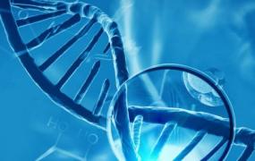什么是基因工程技术中常用的受体细胞(什么是基因工程技术?)