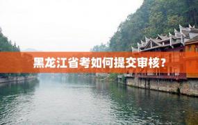 黑龙江省考如何提交审核？