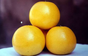 柑橘新品种有哪些