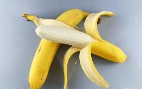 香蕉的养殖方法