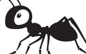 沙发上有蚂蚁如何处理(沙发上有蚂蚁怎么回事)