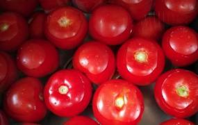 番茄如何保存方法