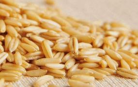 燕麦和小麦的区别