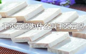 千页豆腐为什么叫千页豆腐?(什么是千页豆腐)