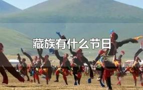 藏族有什么节日传统节日(藏族有什么节日彝族有什么节日)