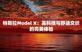 特斯拉Model X：高科技与舒适交织的完美体验
