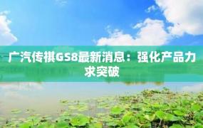 广汽传祺GS8最新消息：强化产品力求突破