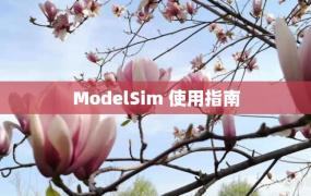 ModelSim 使用指南