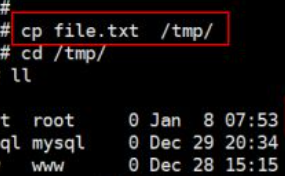 linux拷贝文件夹到指定目录命令(linux拷贝文件夹到指定目录命令并且改名)