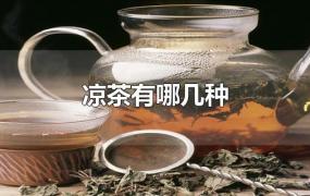 凉茶10大品牌(中国十大凉茶排行)