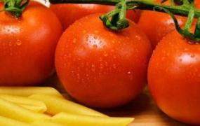 豆浆可以和西红柿一起吃吗(西红柿能和豆浆一起吃吗)