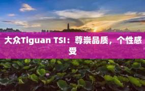 大众Tiguan TSI：尊崇品质，个性感受