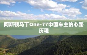 阿斯顿马丁One-77中国车主的心路历程