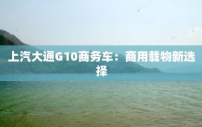 上汽大通G10商务车：商用载物新选择