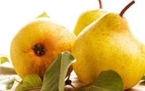四季梨的繁殖方法