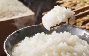 米饭用英语怎么说(米饭用英语怎么说读音)