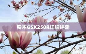 铃木GSX250R详细评测