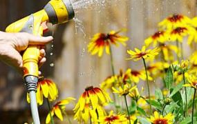 冬季花卉浇水方法